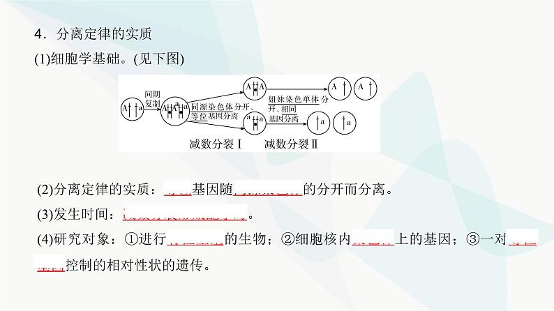 高考生物复习必修二第五单元第十三讲基因的分离定律课件第7页