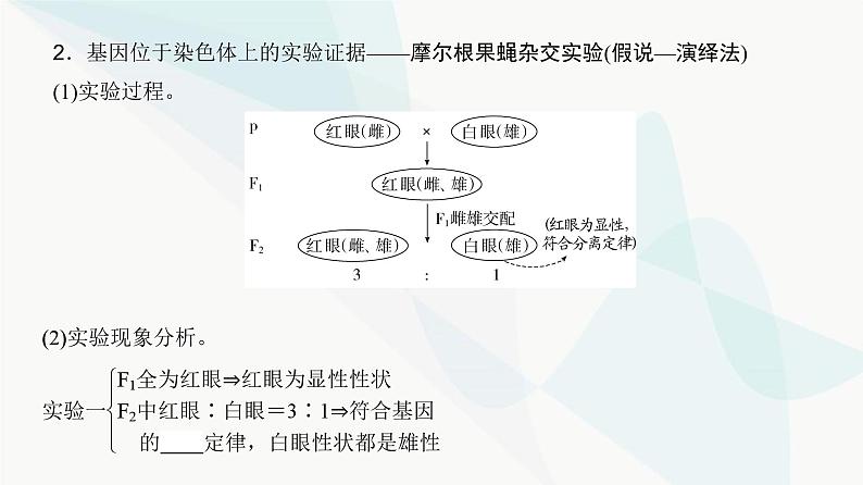 高考生物复习必修二第五单元第十五讲伴性遗传和人类遗传病课件04