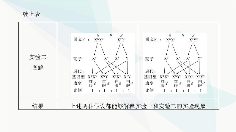 高考生物复习必修二第五单元第十五讲伴性遗传和人类遗传病课件07