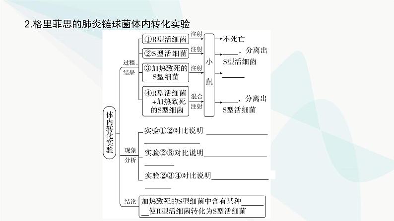 高考生物复习必修二第六单元第十六讲DNA是主要的遗传物质课件第4页