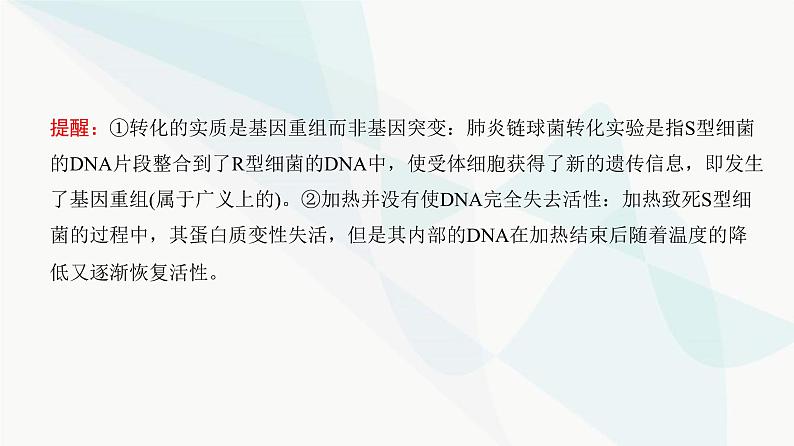 高考生物复习必修二第六单元第十六讲DNA是主要的遗传物质课件第7页