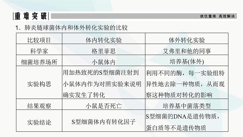 高考生物复习必修二第六单元第十六讲DNA是主要的遗传物质课件第8页