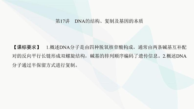 高考生物复习必修二第六单元第十七讲DNA的结构、复制及基因的本质课件02