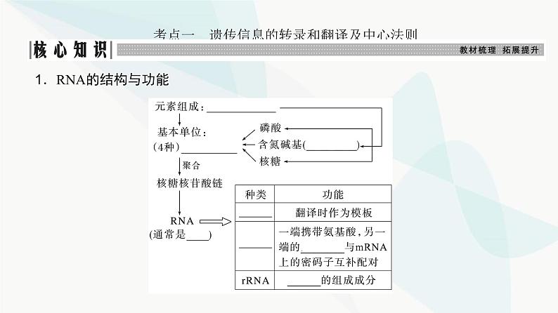 高考生物复习必修二第六单元第十八讲基因的表达课件03