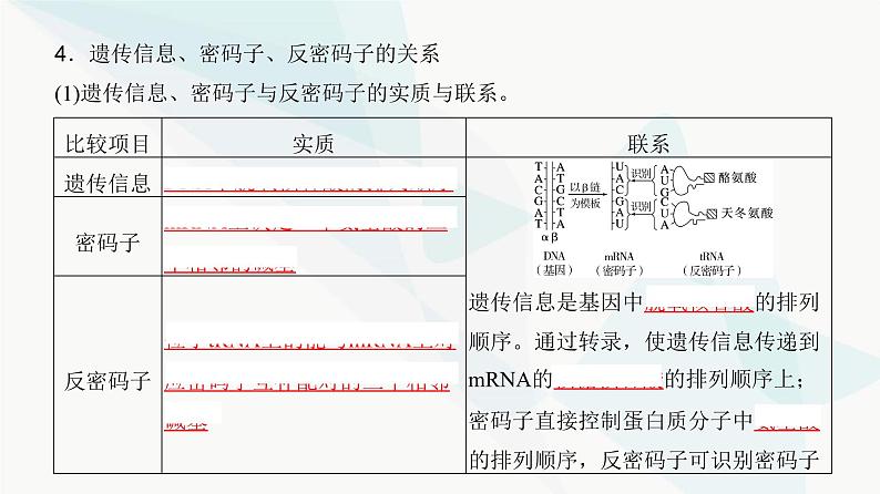 高考生物复习必修二第六单元第十八讲基因的表达课件07