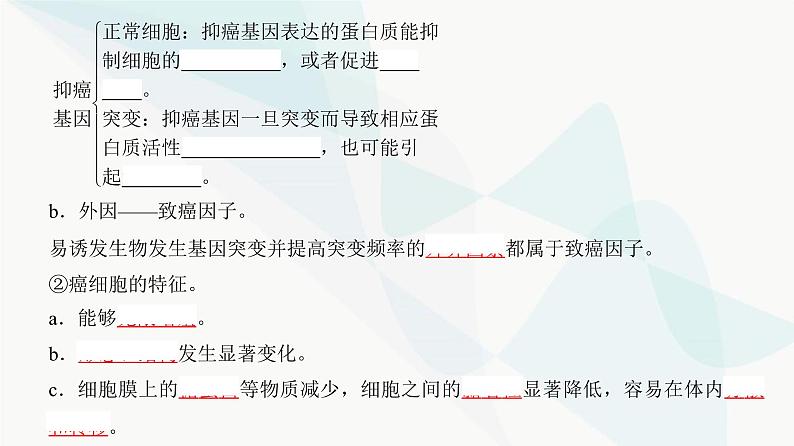 高考生物复习必修二第七单元第十九讲基因突变与基因重组课件05