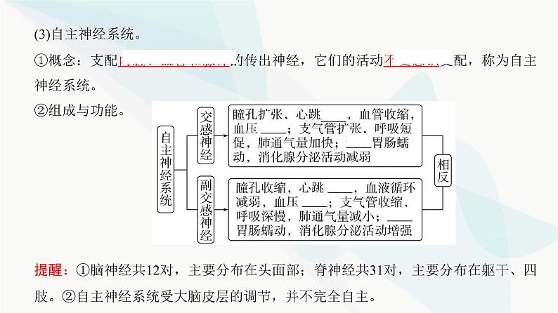 高考生物复习选择性必修一第八单元第二十三讲神经调节课件05