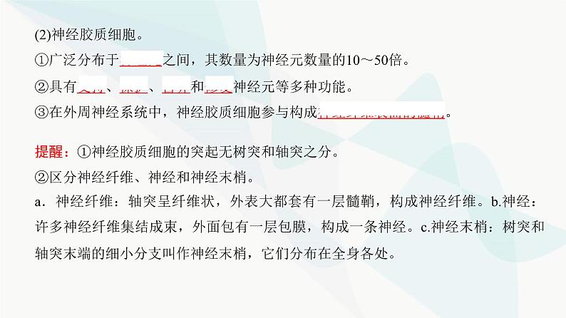 高考生物复习选择性必修一第八单元第二十三讲神经调节课件07