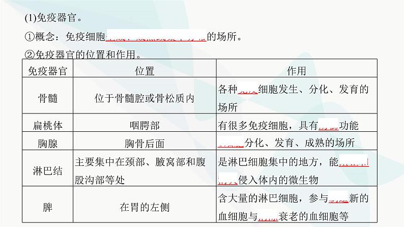 高考生物复习选择性必修一第八单元第二十五讲免疫调节课件04