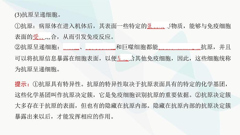 高考生物复习选择性必修一第八单元第二十五讲免疫调节课件06