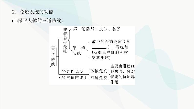 高考生物复习选择性必修一第八单元第二十五讲免疫调节课件08