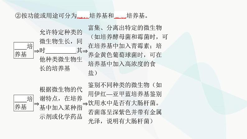 高考生物复习选择性必修三第十单元第33讲微生物的培养技术及应用课件07