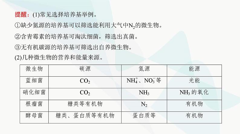 高考生物复习选择性必修三第十单元第33讲微生物的培养技术及应用课件08