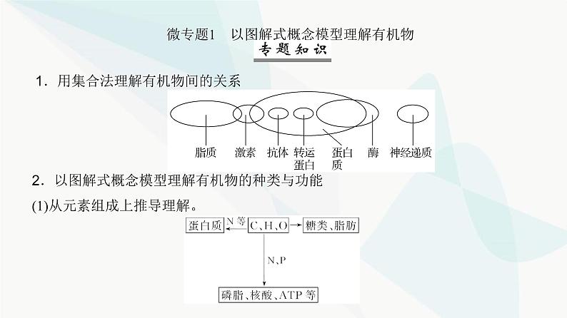 高考生物复习必修一第一单元微专题一以图解式概念模型理解有机物课件02