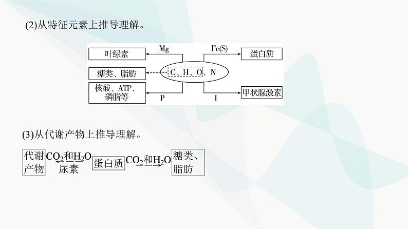 高考生物复习必修一第一单元微专题一以图解式概念模型理解有机物课件03