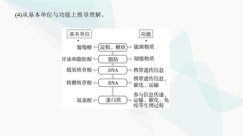 高考生物复习必修一第一单元微专题一以图解式概念模型理解有机物课件04