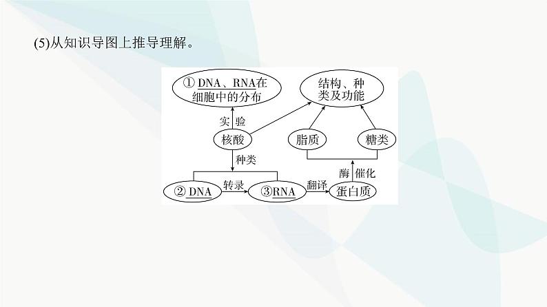 高考生物复习必修一第一单元微专题一以图解式概念模型理解有机物课件05