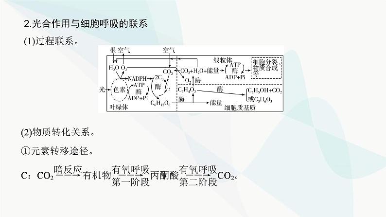 高考生物复习必修一第三单元微专题二光合作用与细胞呼吸的综合分析课件03