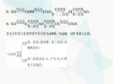 高考生物复习必修一第三单元微专题二光合作用与细胞呼吸的综合分析课件