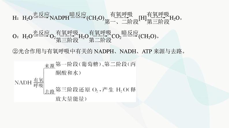 高考生物复习必修一第三单元微专题二光合作用与细胞呼吸的综合分析课件04