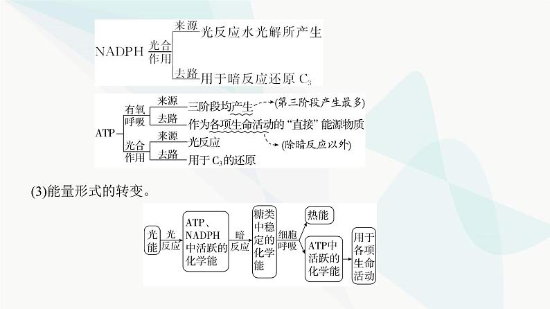 高考生物复习必修一第三单元微专题二光合作用与细胞呼吸的综合分析课件05