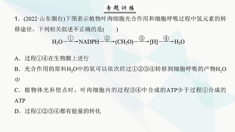 高考生物复习必修一第三单元微专题二光合作用与细胞呼吸的综合分析课件06