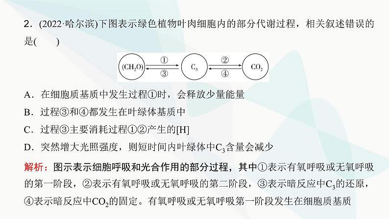 高考生物复习必修一第三单元微专题二光合作用与细胞呼吸的综合分析课件08