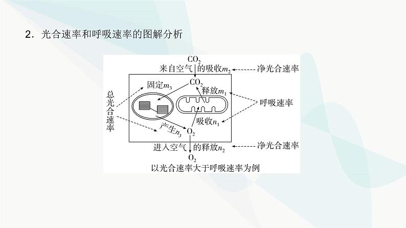 高考生物复习必修一第三单元微专题三光合速率和呼吸速率及测定方法课件04