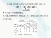 高考生物复习必修一第四单元微专题四细胞分裂中的同位素标记及细胞分裂与可遗传变异的关系课件