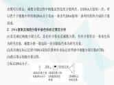 高考生物复习必修一第四单元微专题四细胞分裂中的同位素标记及细胞分裂与可遗传变异的关系课件