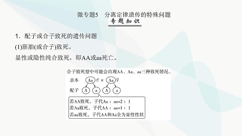 高考生物复习必修二第五单元微专题五分离定律遗传的特殊问题课件第2页