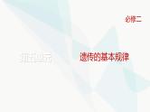 高考生物复习必修二第五单元微专题七基因位置的判断及其遗传实验设计方法课件
