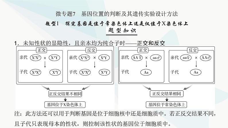 高考生物复习必修二第五单元微专题七基因位置的判断及其遗传实验设计方法课件第2页