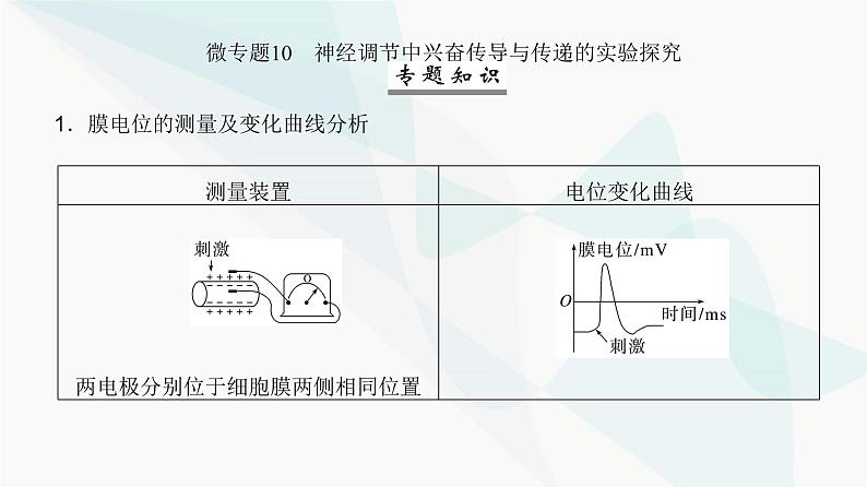 高考生物复习选择性必修一第八单元微专题一0神经调节中兴奋传导与传递的实验探究课件02