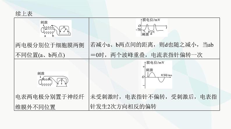 高考生物复习选择性必修一第八单元微专题一0神经调节中兴奋传导与传递的实验探究课件03