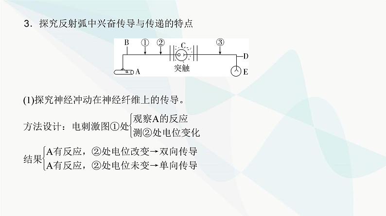 高考生物复习选择性必修一第八单元微专题一0神经调节中兴奋传导与传递的实验探究课件06