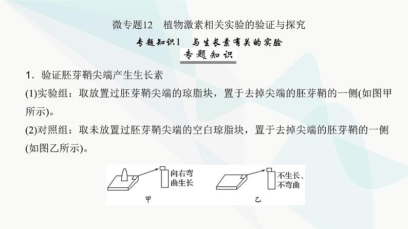 高考生物复习选择性必修一第八单元微专题一2植物激素相关实验的验证与探究课件第2页