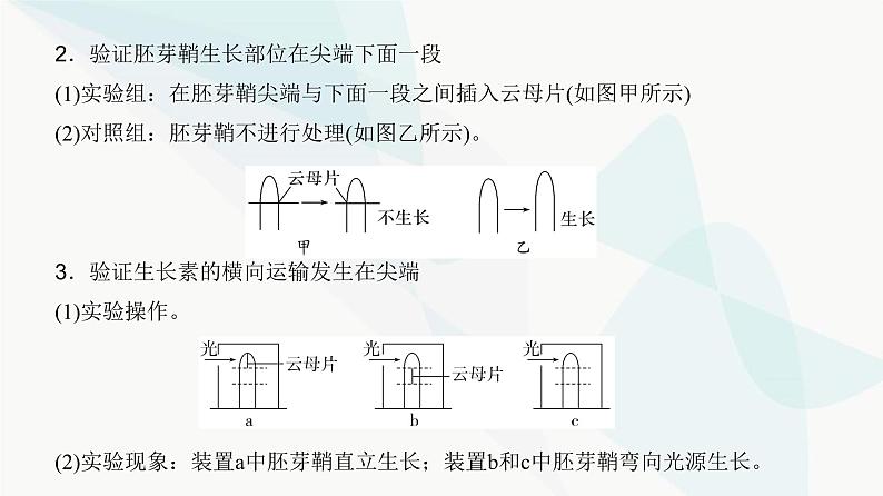 高考生物复习选择性必修一第八单元微专题一2植物激素相关实验的验证与探究课件第3页