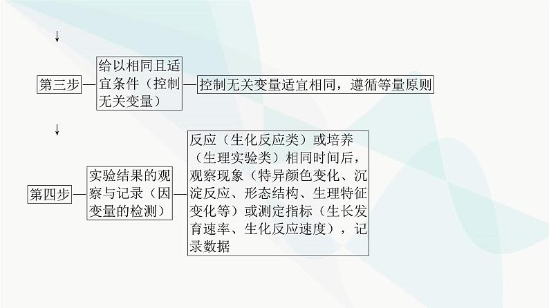 高考生物复习选择性必修一第八单元实验专题四实验设计的步骤和实验结果与结论的表达课件03