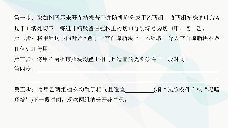 高考生物复习选择性必修一第八单元实验专题五实验分析、评价及解题思路课件07