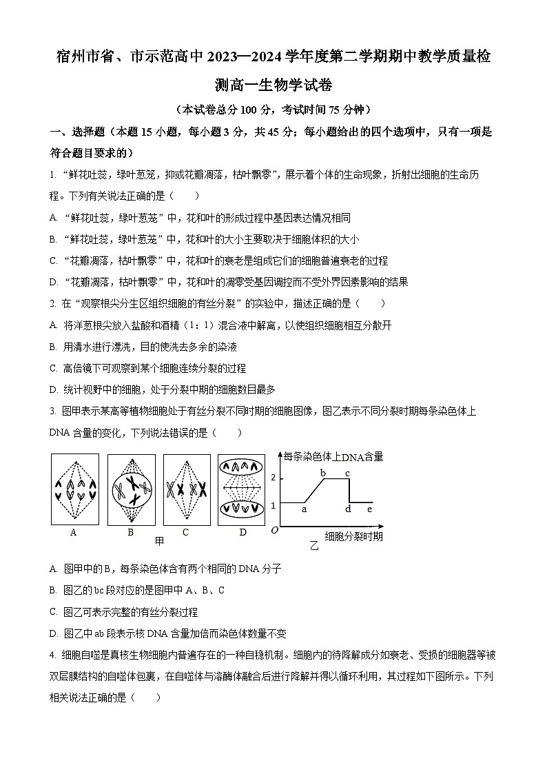 安徽省宿州市示范高中2023—2024学年高一下学期期中考试生物试题（原卷版）第1页