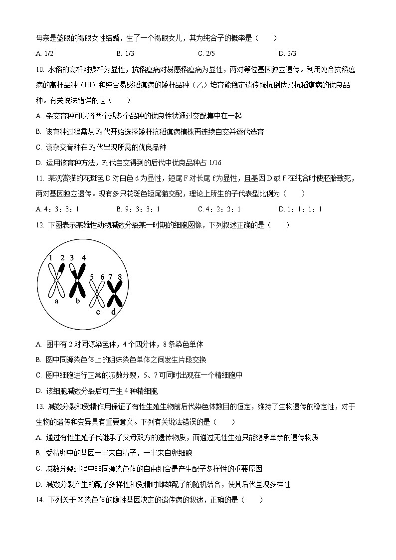 安徽省宿州市示范高中2023—2024学年高一下学期期中考试生物试题（原卷版）第3页