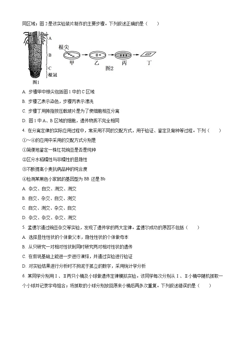 广东省高州市2023-2024学年高一下学期期中考试生物试题（原卷版）第2页