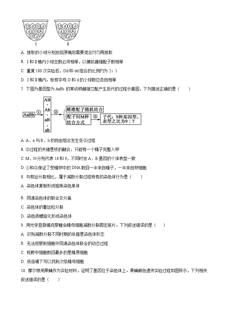 广东省高州市2023-2024学年高一下学期期中考试生物试题（原卷版）第3页