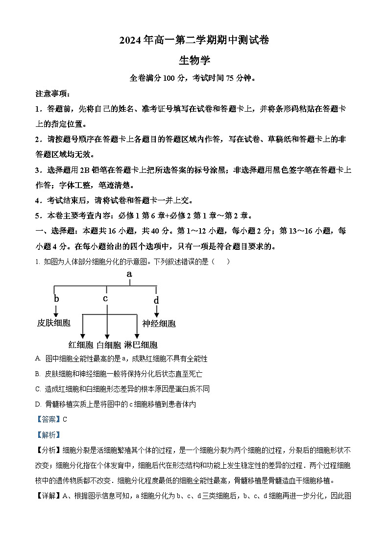 广东省高州市2023-2024学年高一下学期期中考试生物试题（解析版）第1页