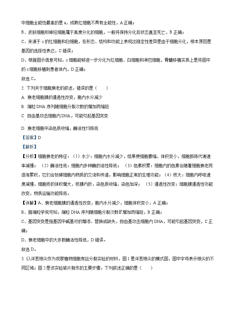 广东省高州市2023-2024学年高一下学期期中考试生物试题（解析版）第2页