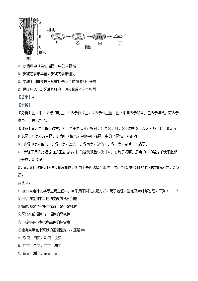 广东省高州市2023-2024学年高一下学期期中考试生物试题（解析版）第3页