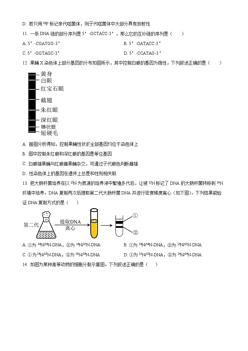 广西壮族自治区钦州市浦北县2023-2024学年高一下学期4月期中生物试题（原卷版）第3页