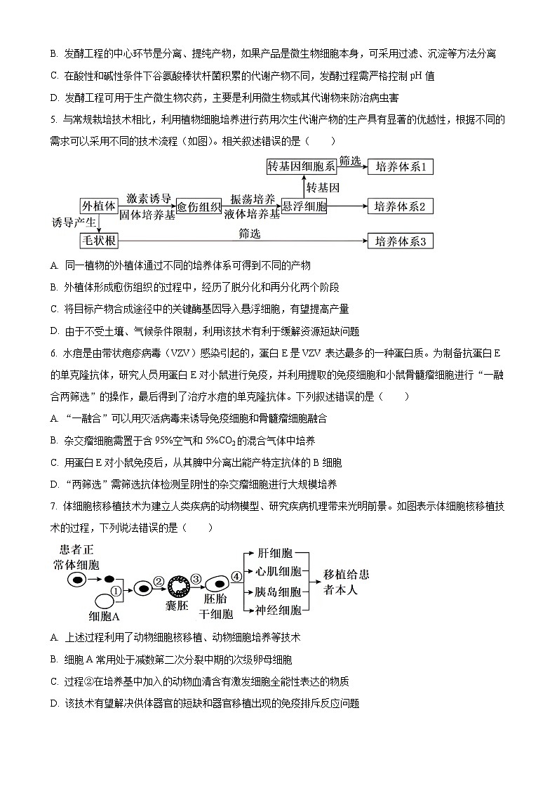 河北省邯郸市永年区第二中学2023-2024学年高二下学期期中考试生物试卷（原卷版）第2页