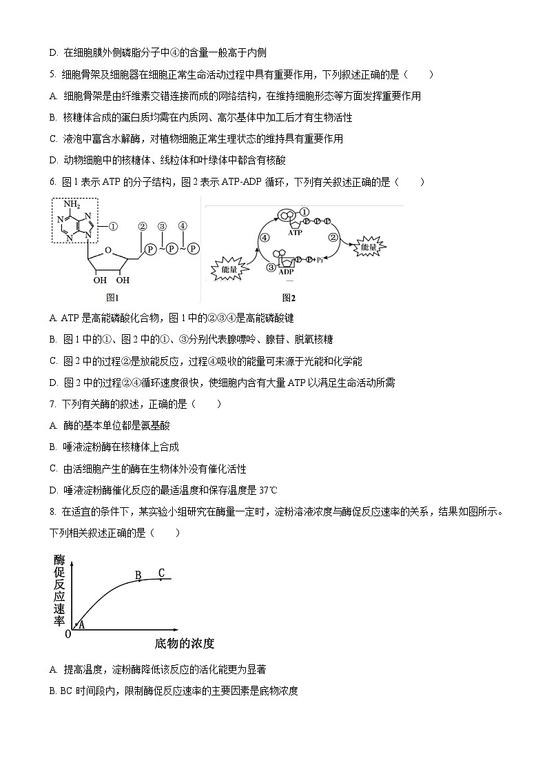 浙江省会稽联盟2023-2024学年高一下学期4月期中生物试题（原卷版）第2页